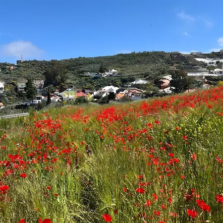 Cuevas La Solana Gáldar