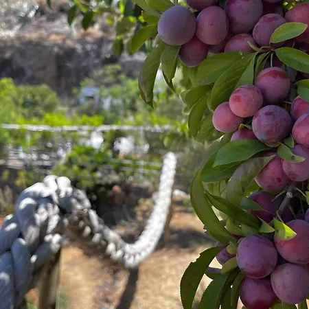 Cuevas La Solana בית כפרי Gáldar